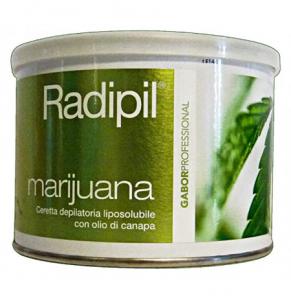 Dyll Radipil Vaso Aloe 400 ml