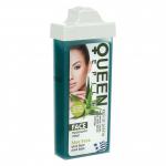 Dyll Depilimi Me Rulo 100ml