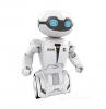 Robot Macrobot Interactive With Remote Control 20 cm