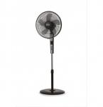Freskuese Argo Standy