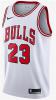 Fanella e Chicago Bulls (Air Jordan 23)