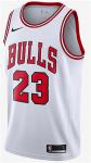 Fanella e Chicago Bulls (Air Jordan 23)