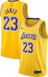 Fanella e Los Angeles Lakers (Lebron James 23)