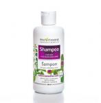 Shampo per Floke te Thate & Demtuara ProVitamine Hedera Vita