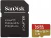 Karte Memorie Extreme MicroSDXC 256GB +SD Adapter + Rescue Pro Deluxe 160MB/S A2 C10 V30 UHS-I U3 [16973]
