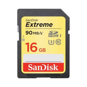 Sandisk Extreme SDHC 90MB/S