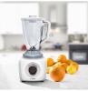 Blender Bosch MMB21P0R
