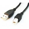 Kabell Gembird Usb 2.0 A-B Plug