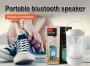 Boks me Bluetooth SX20