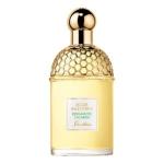 Aqua Allegoria Bergamote Calabria EDT