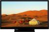 Sharp 24W1963DG - 24” (60 cm), HD, i zi