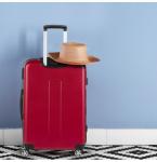 Valixhe Scandinavia Carbon Red 60 L