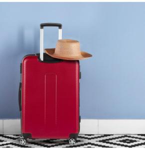 Valixhe Scandinavia Carbon Red 60 L