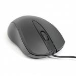 Mouse Gh-2
