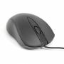 Mouse Gh-2
