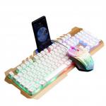 Set Tastiere dhe Mouse LIMEIDI T21