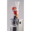 Shtrydhese Frutash Ariete Centrika Slow Juicer 177