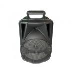 Boks bluetooth 8`