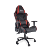 Karrige Pro-Racer