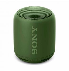 Boks Bluetooth Sony SRSXB10