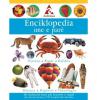 Enciklopedia ime e parë
