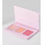 Blush Palette WnW