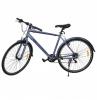 Biciklete 28" Max Gentleman Grey
