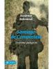 Santiago De Compostela. Shenime Pelegrini