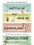 Shetitje Ne Hene Me Ajnshtajnin