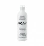 NOAH Balsam ushqyes me mango 250 ml